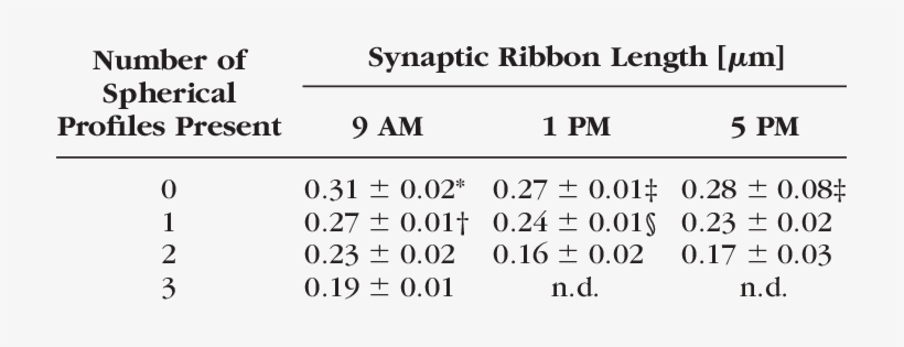 Synaptic Ribbon Profile Length In Individual Rod Terminals - Federation Of American Hospitals, transparent png