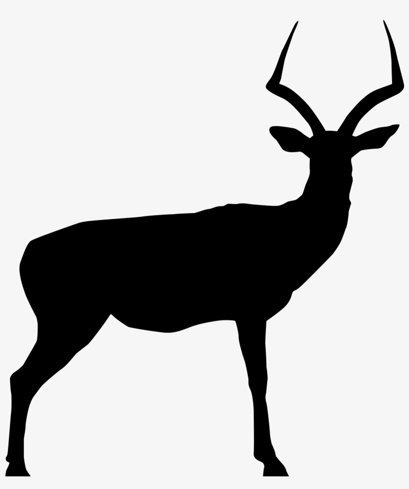 50s Clipart Impala 3 Deer Skull Drawing Deer Rack Silhouette - Impala Vector, transparent png