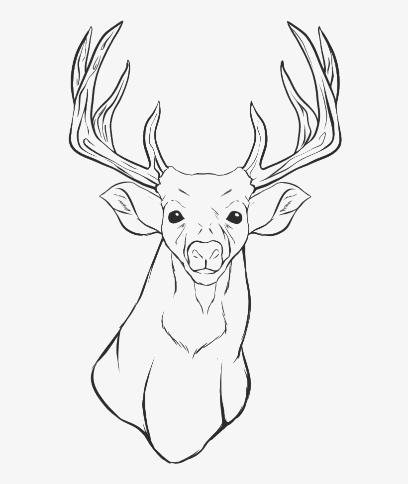 Drawing Of Deer Heads, transparent png