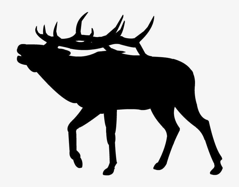 Bull Silhouette Clip Art - Elk Clip Art, transparent png