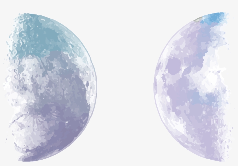 Earth Moon Euclidean Vector - Moon Vector, transparent png