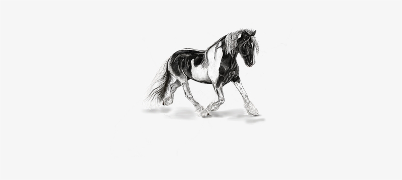 Horse Mottled Art Animals Painting Digital - Horse, transparent png