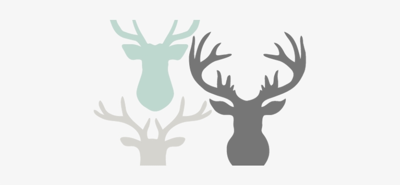 Clip Stock Country Svg Floral Deer - Deer Buck Orange Stainless Steel Ozark Tumbler Cup, transparent png