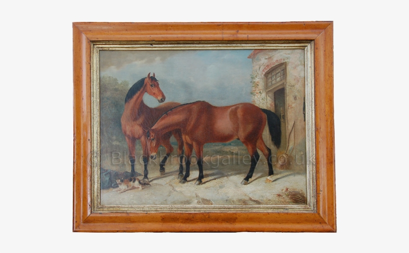 More Views - Horse, transparent png