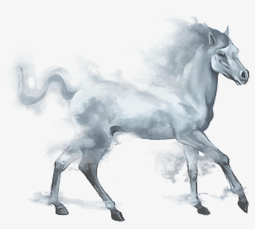 Horses Png, transparent png