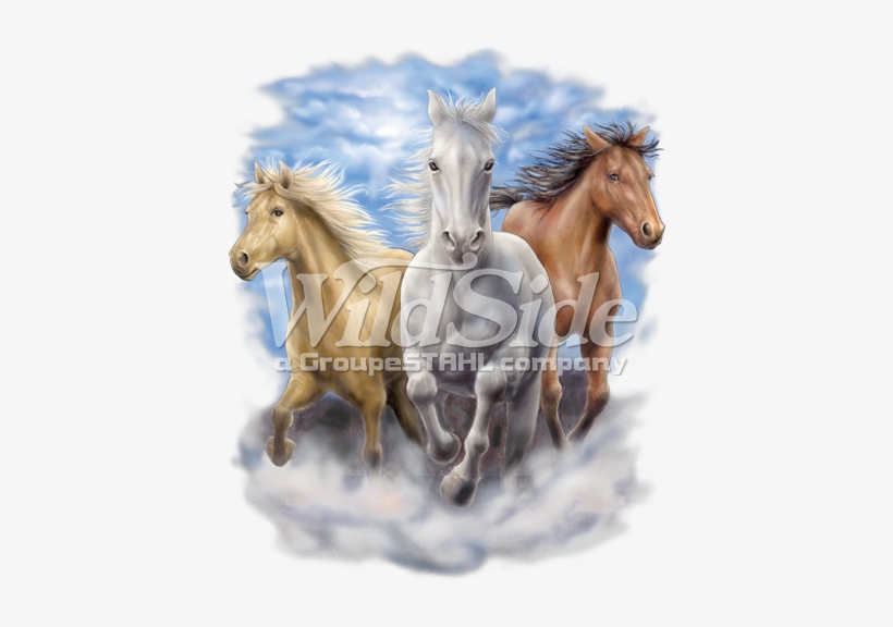 3 Running Horses - T-shirts Graphic Picture Animals,bikes Skulls American, transparent png