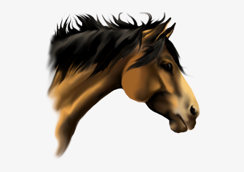 Horse Face Vector Clip Art - 3d Horse Face, transparent png