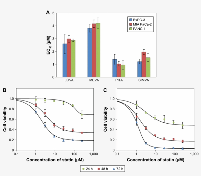 Activity Of Statins On Cell Viability - Bxpc-3, transparent png