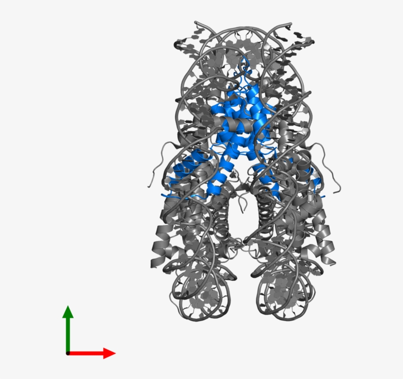 Illustration, transparent png