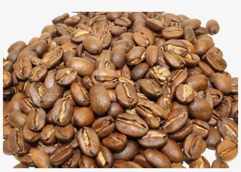 Roasts Every Month - Roast, transparent png