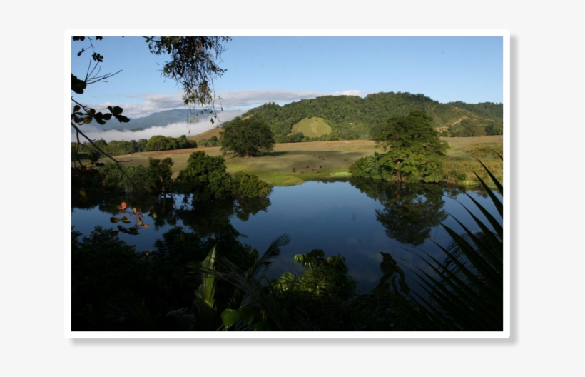 Sun Rising Over The Daintree Rive - Daintree, transparent png