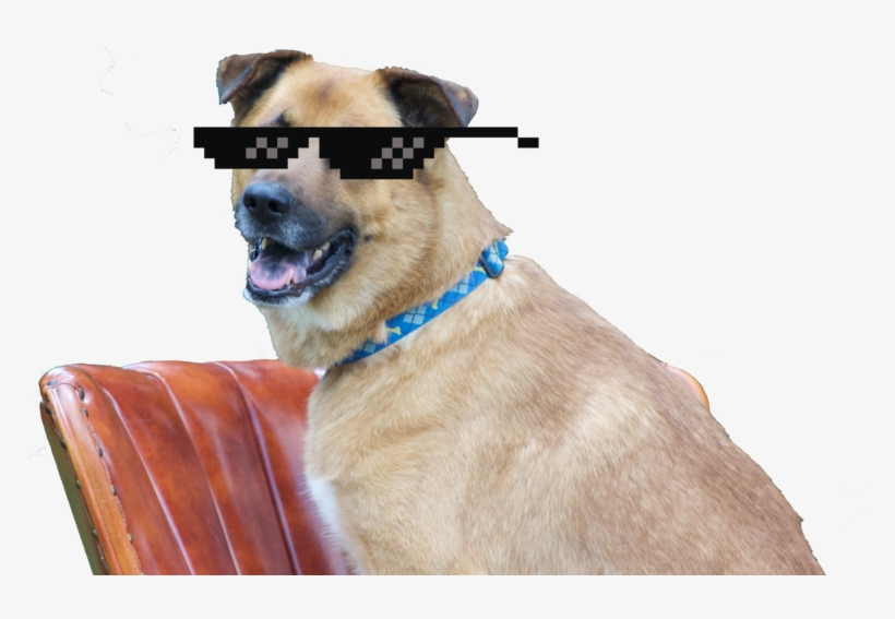 Cool Max - Coolmax, transparent png