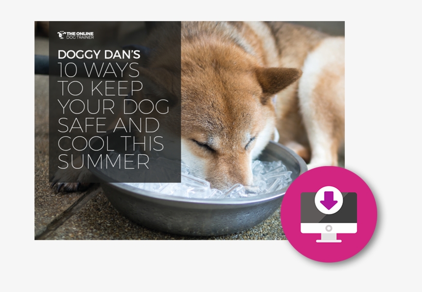 10 Ways To Keep Your Dog Safe And Cool This Summer - Dog Ice Bucket, transparent png