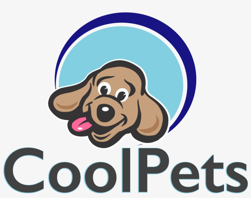 Cool Pets Biz - Basic Concept Of Quality, transparent png