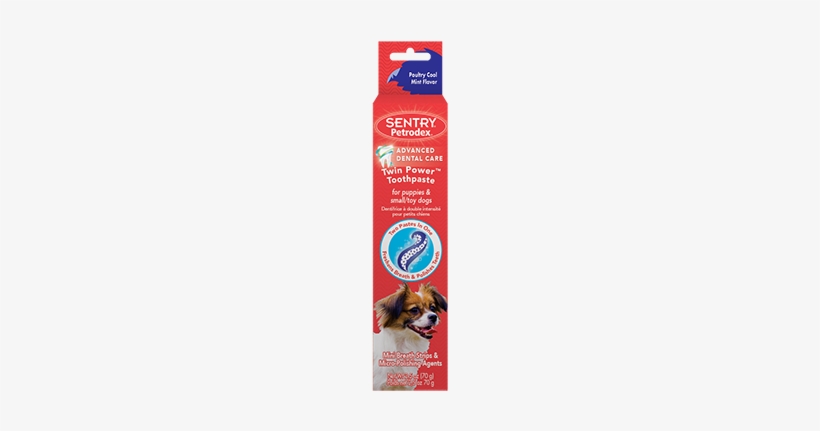 51080 Img P004908 1 Web Med - Petrodex Twin Power Toothpaste For Puppies & Small, transparent png