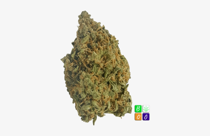 Blue Cheese - Medical Cannabis, transparent png