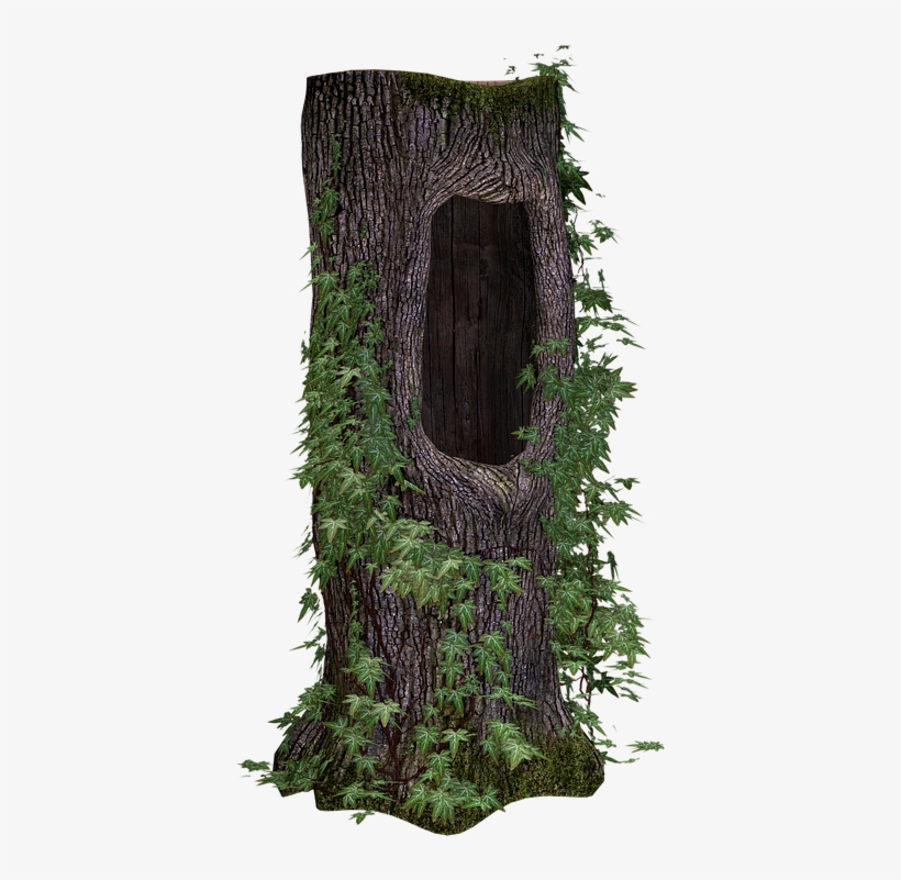 Trunk Png Tree Trunk Ivy - Tronco De Arbol Png, transparent png