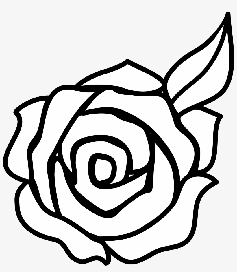 Rose Clip Art - Art Rose Drawing, transparent png