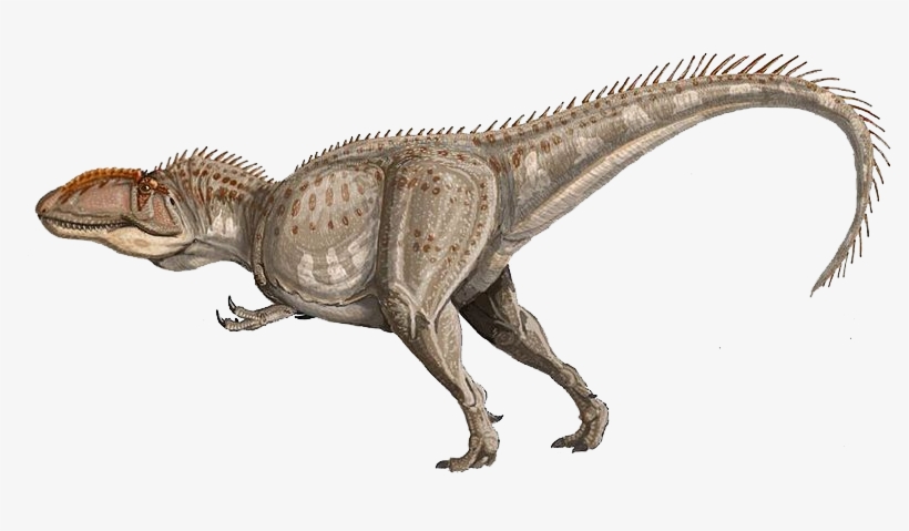 Giganotosaurus - Dinosaurio Mas Grande Carnivoro, transparent png