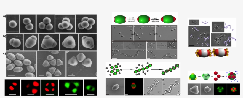 In Addition To Patchy Particle Synthesis, The Weck - Colloids Building Blocks, transparent png