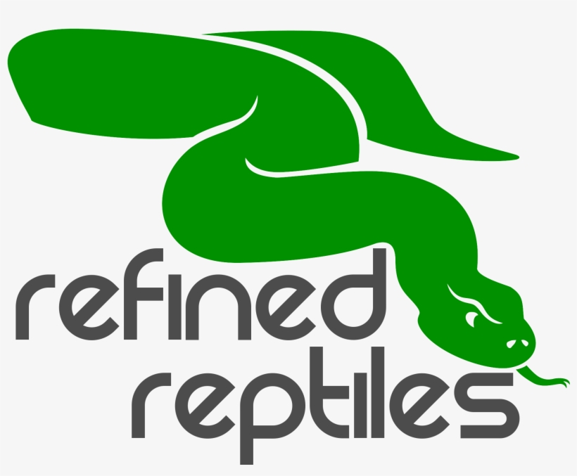 Snake, transparent png