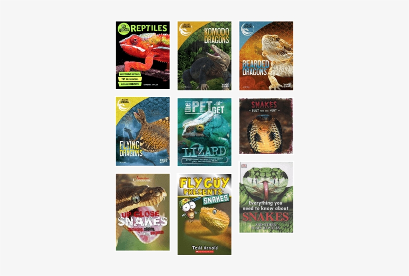 Reptiles And Amphibians - Real-life Dragons, transparent png