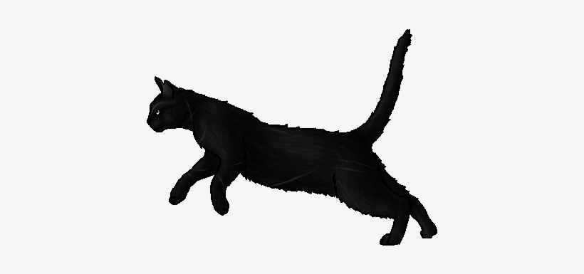 Creekfrost - Warrior - Cat, transparent png