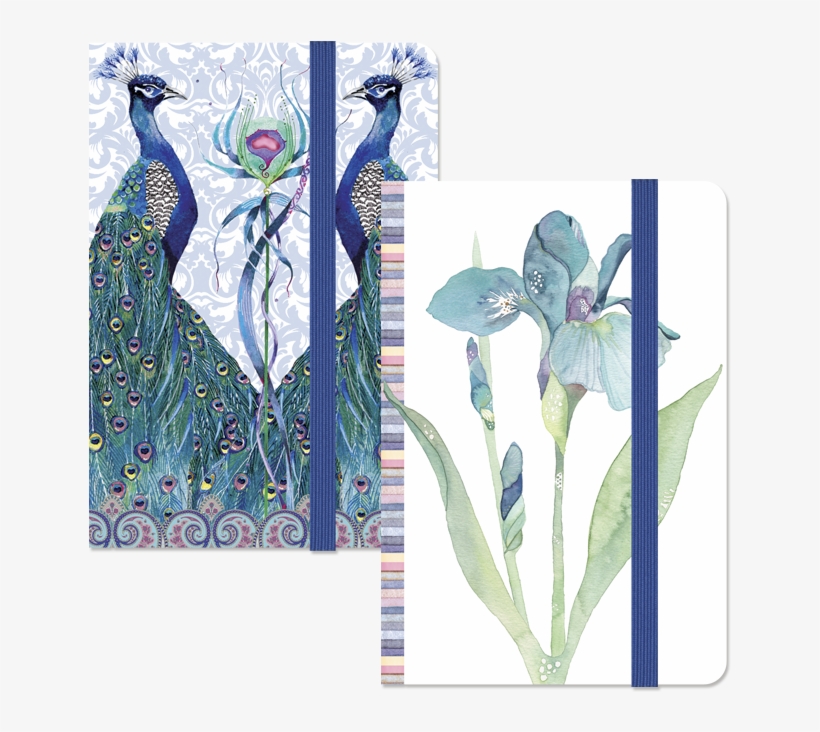 Picture Banded Notebooks - Illustration, transparent png