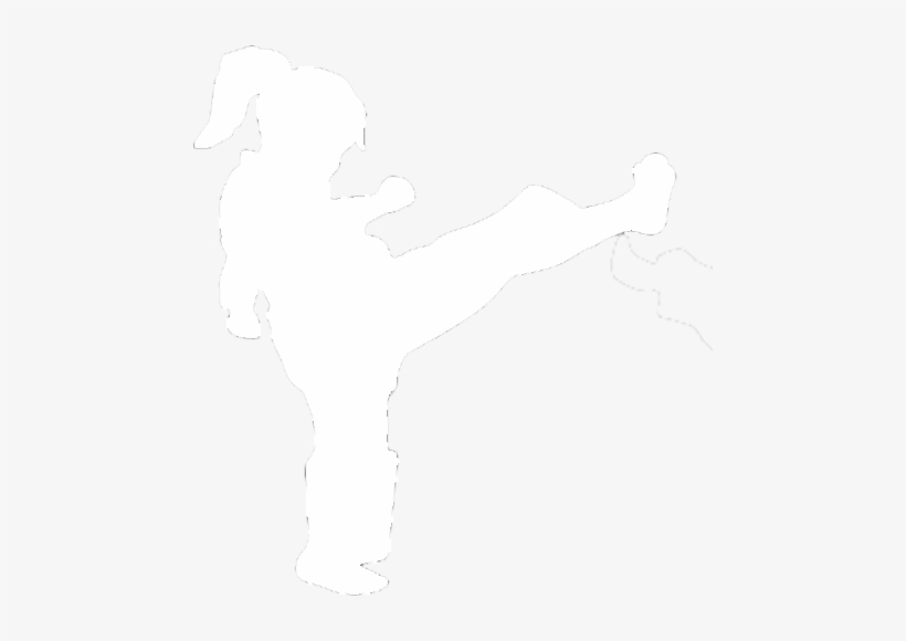 Our Warrior Cubs Programme Is A Structured, Safe And - Silhouette, transparent png