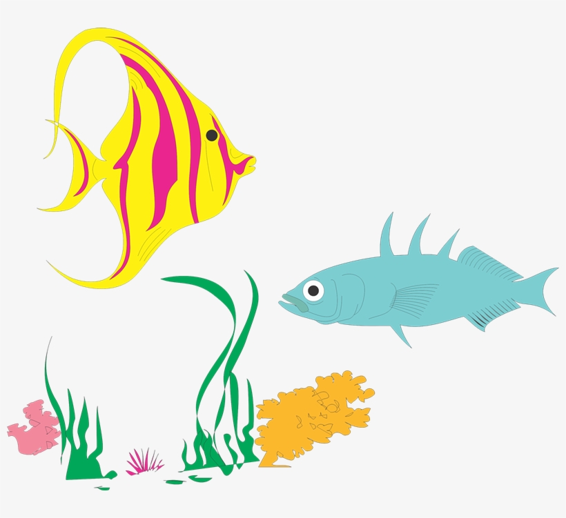 Imágenes De Peces Variados De Colores - Institute, transparent png