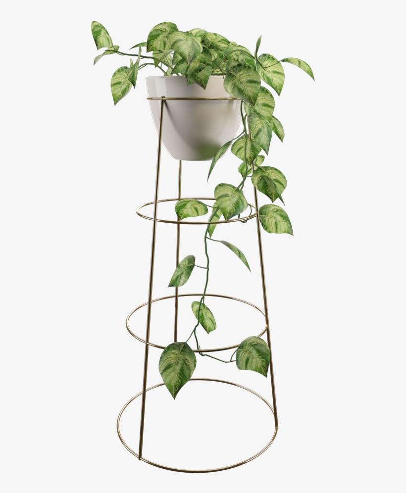 Philodendron - Houseplant, transparent png