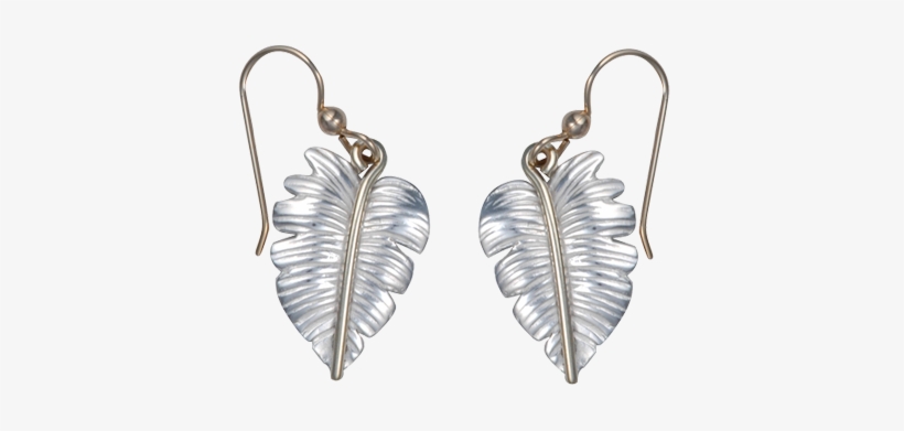 E066bwsb0, transparent png