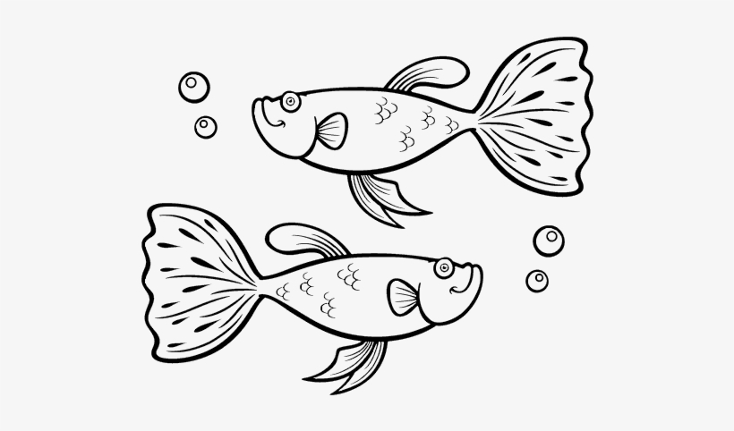 Pez Guppy Para Colorear, transparent png