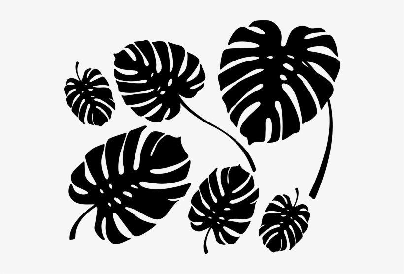 Philodendron - Sticker Feuille De Philodendron, transparent png