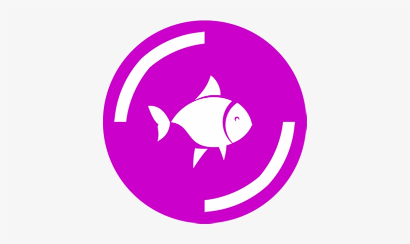 Peces - Cat, transparent png