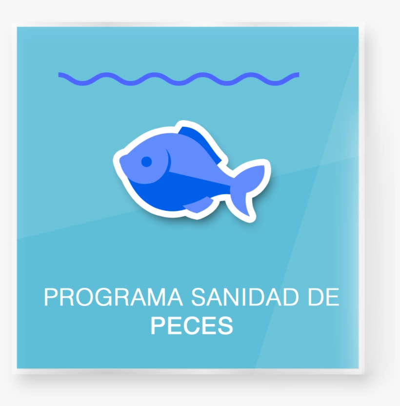 Boton Peces - Fish, transparent png
