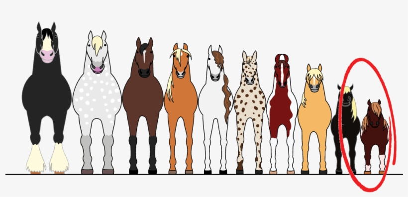 Plastic Horseshoes Size Us - Plastic Horseshoes Size Us 00 - Eu 115 Hoof-it Natural, transparent png