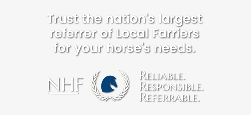 Best Horse Hoof Care In Connecticut Nhf - Farrier, transparent png