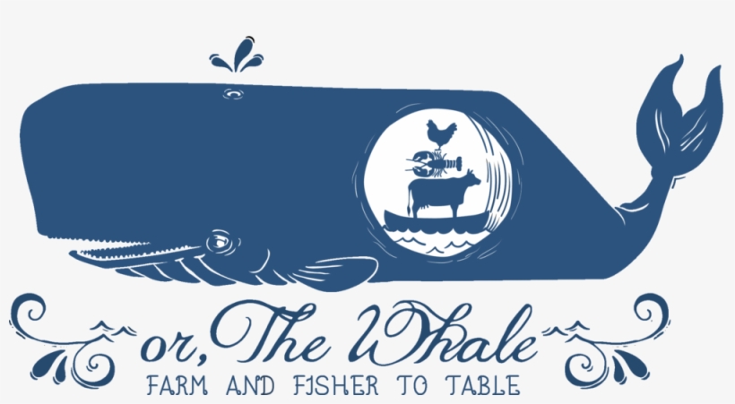 Whale Pittsburgh, transparent png