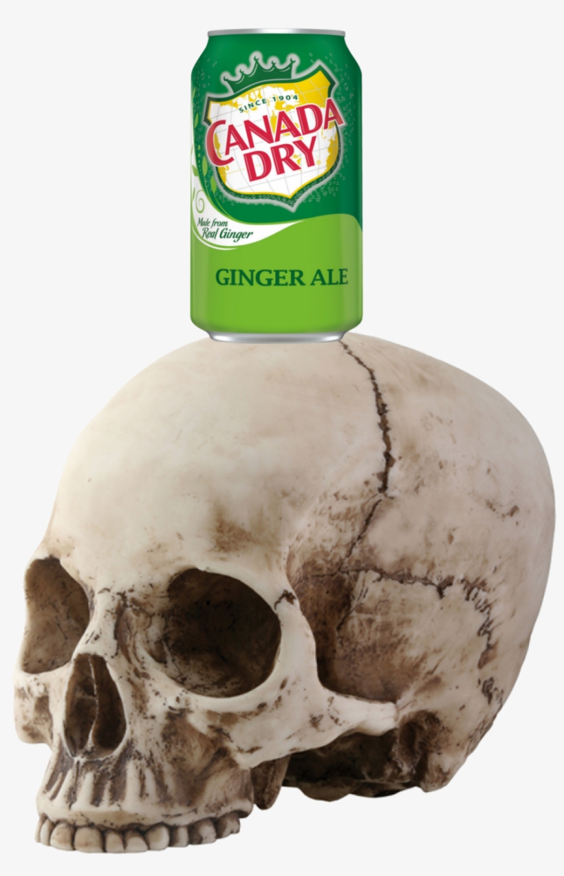 This Is What A Panic Attack Feels Like - Canada Dry Ginger Ale, 12 Fl Oz Can, transparent png