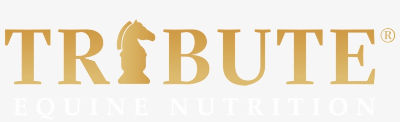 Mandatum Life Logo Png, transparent png