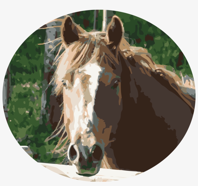 Copperstone Ranch Was Named After The Beloved Horse - Sorrel, transparent png