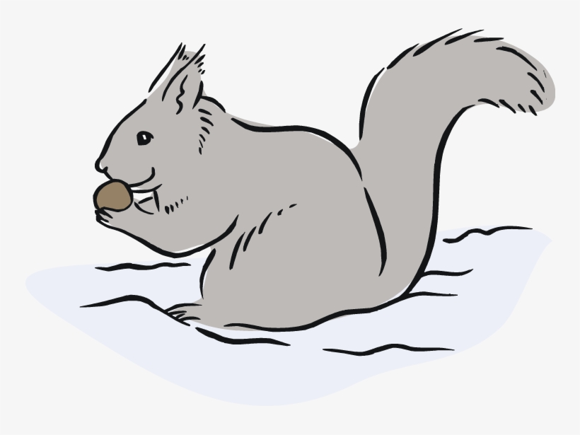 Squirrel Black And White Free Squirrel Clipart - Eastern Gray Squirrel Cartoon, transparent png