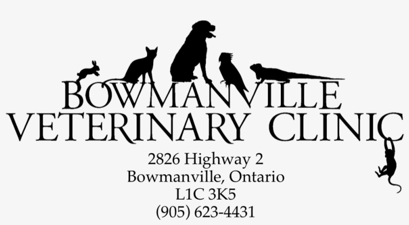 Bowmanville Veterinary Clinic, transparent png