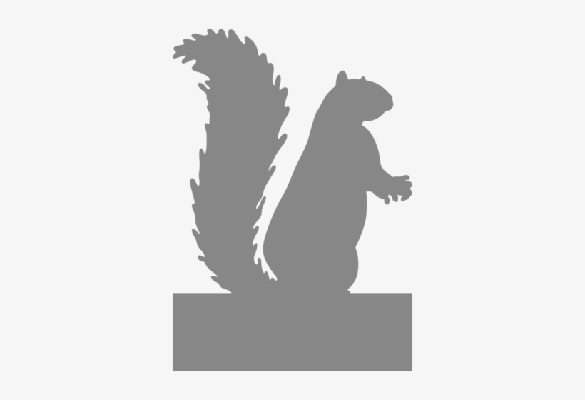 Squirrel Standing - Protect Your Nuts Specify Color Otherwise We Ship White, transparent png