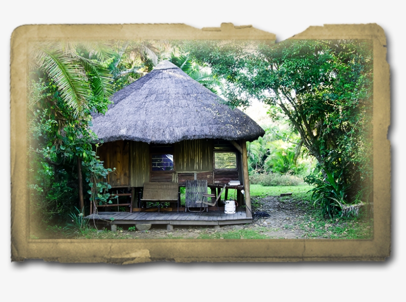 Bushcamp - Yellowwood State Forest, transparent png