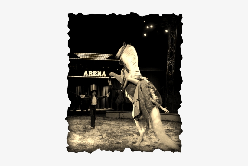 Every Major Circus That Uses Animals Has Been Cited - Circus, transparent png