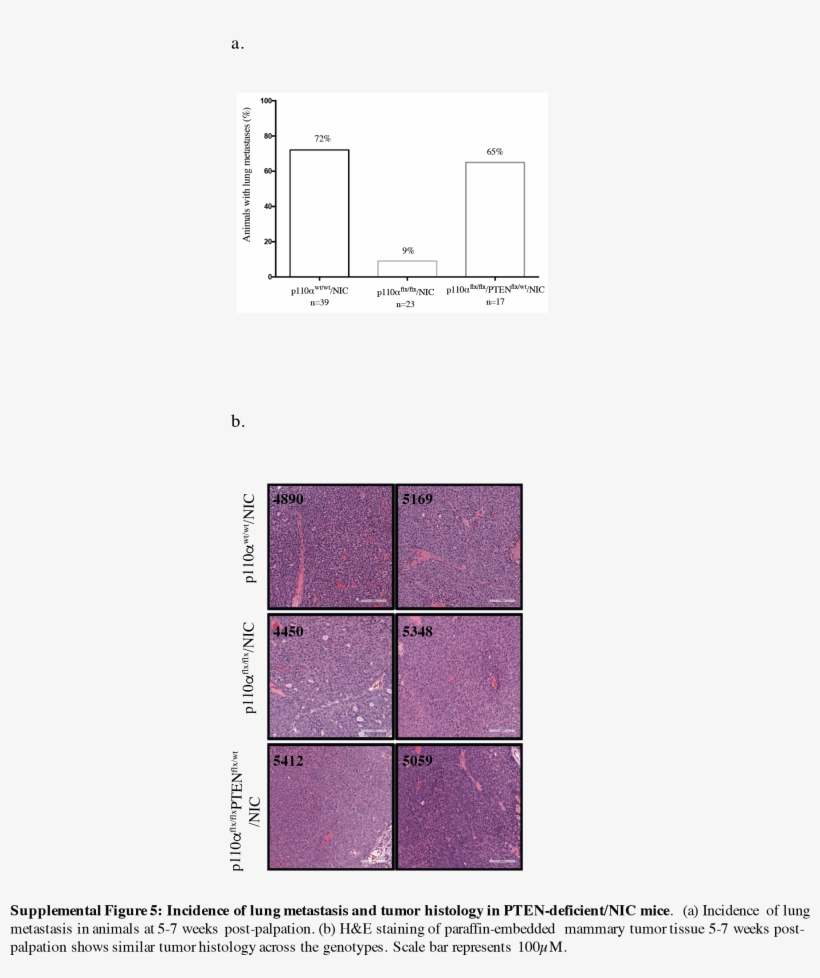 Supplementary Figure - Diagram, transparent png