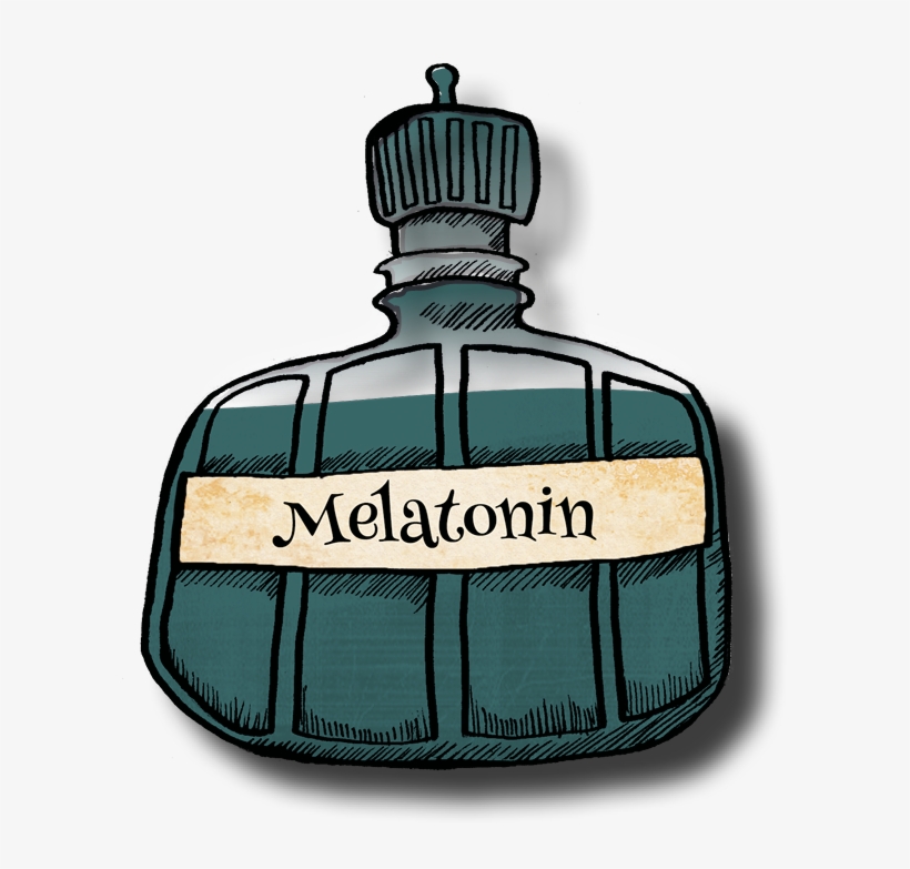 Melatonin Helps Control Everyone's Sleeping And Waking - Sleep, transparent png