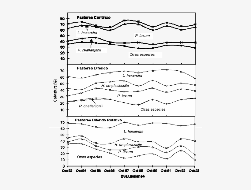 Tendencia Sucesional Por Franjas Acumulativas De La - Diagram, transparent png